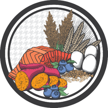 Elementary Cold Pressed Dog Food
